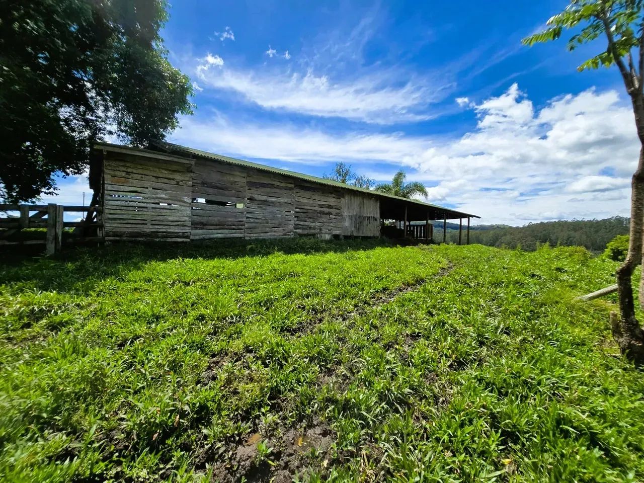 Sitio com 100.000 m²-Alfredo Wagner- Serra Catarinense - Foto 4