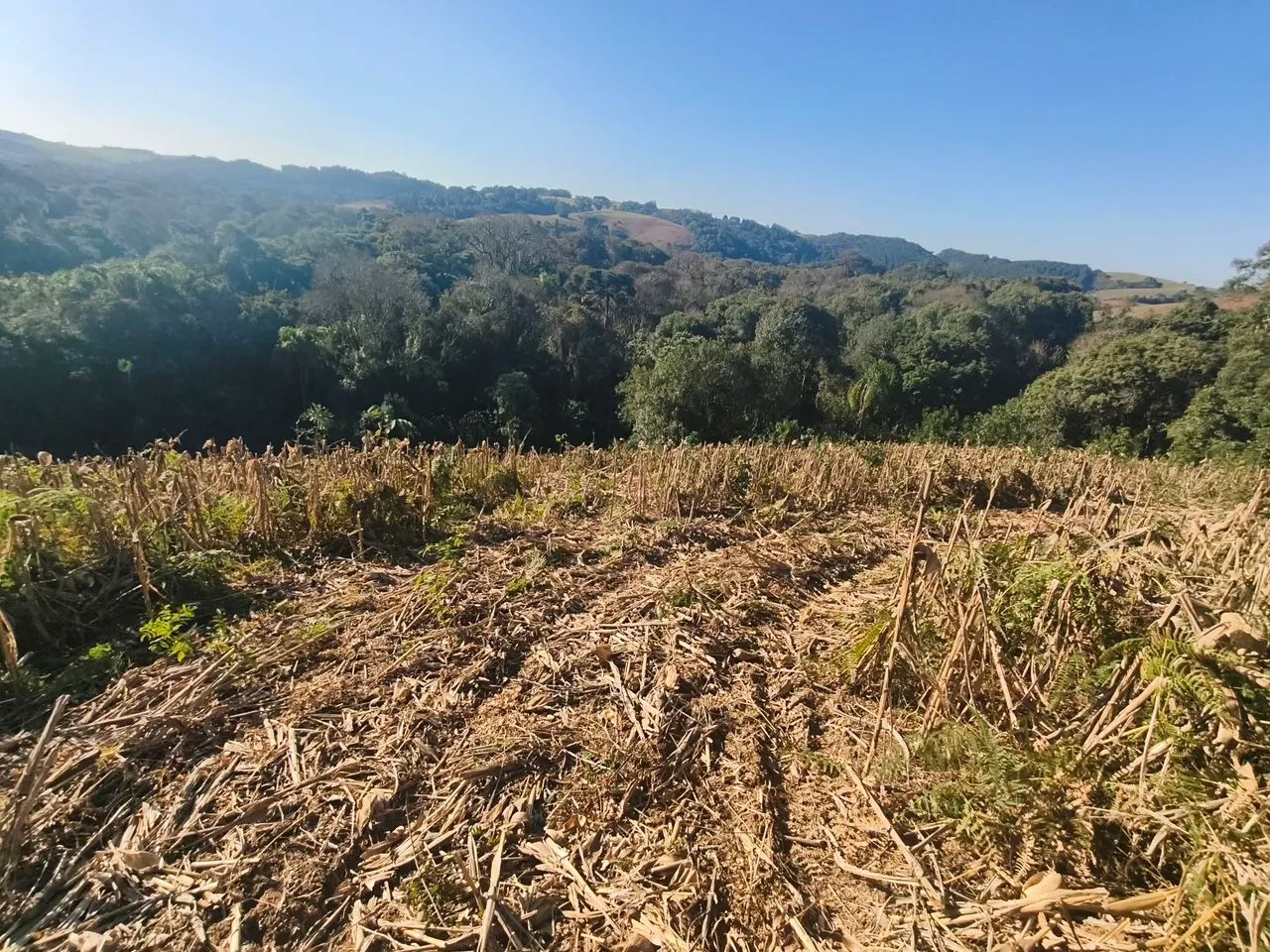 Terreno  - Foto 2