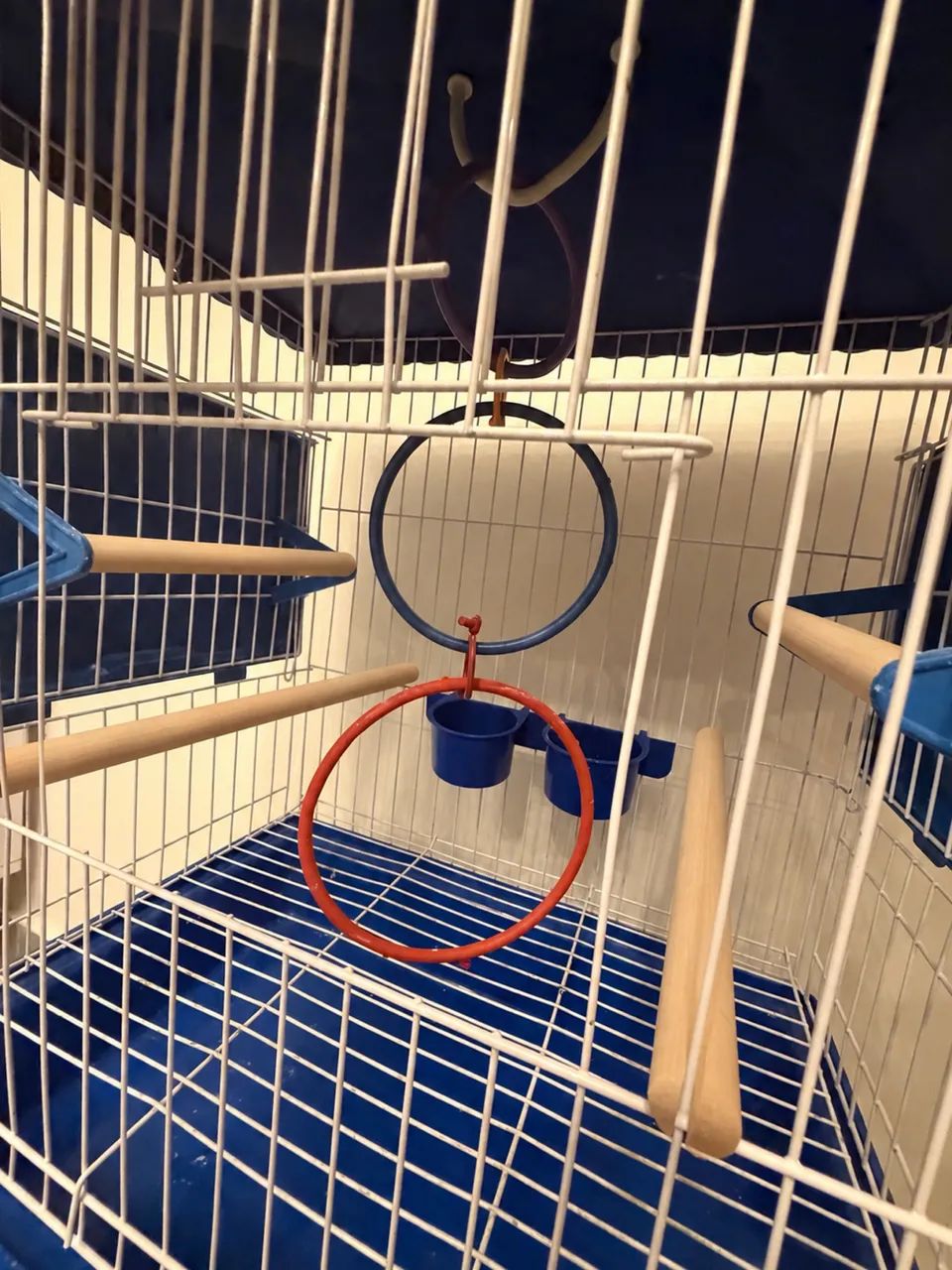 Gaiola Viveiro para Passarinho com 2 Abas e pés - Foto 3