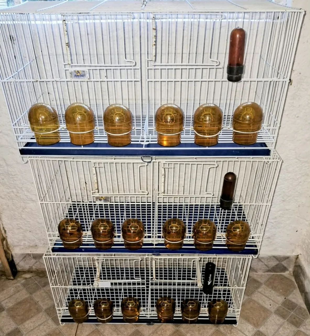 Gaiolas aramil
