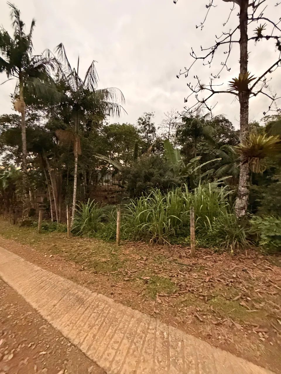 TERRENO MORRETES pr