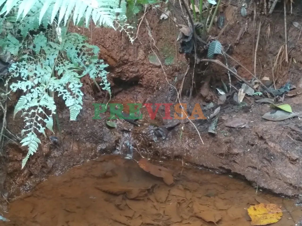 Fazenda / Sítios / Chácaras com 3 quartos à venda em Barão De Cocais - Foto 3