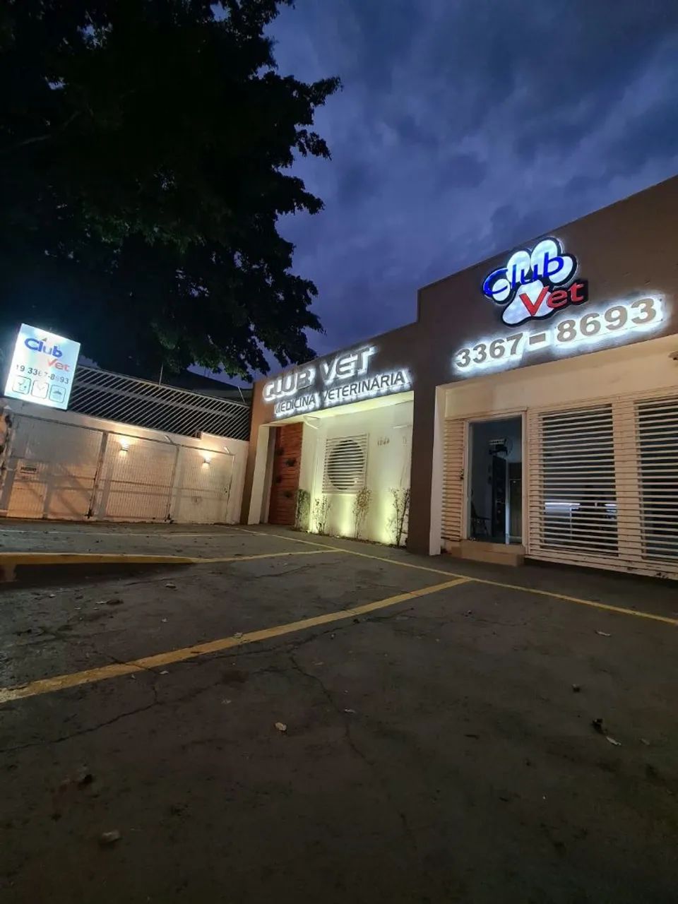Atendimento veterinário de pequenos animais - Foto 2
