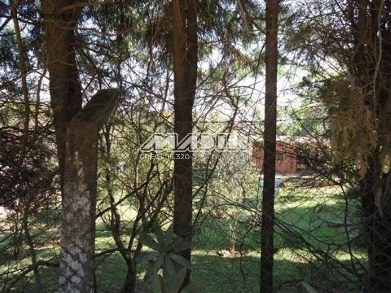 terreno - Joapiranga - Valinhos - Foto 3