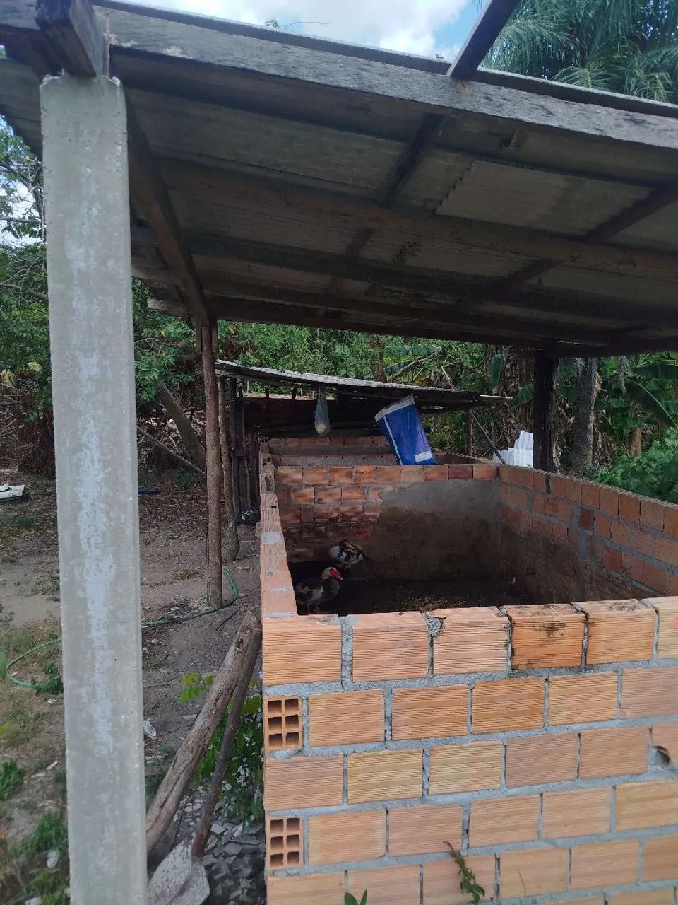 Sitio Rural  - Foto 4