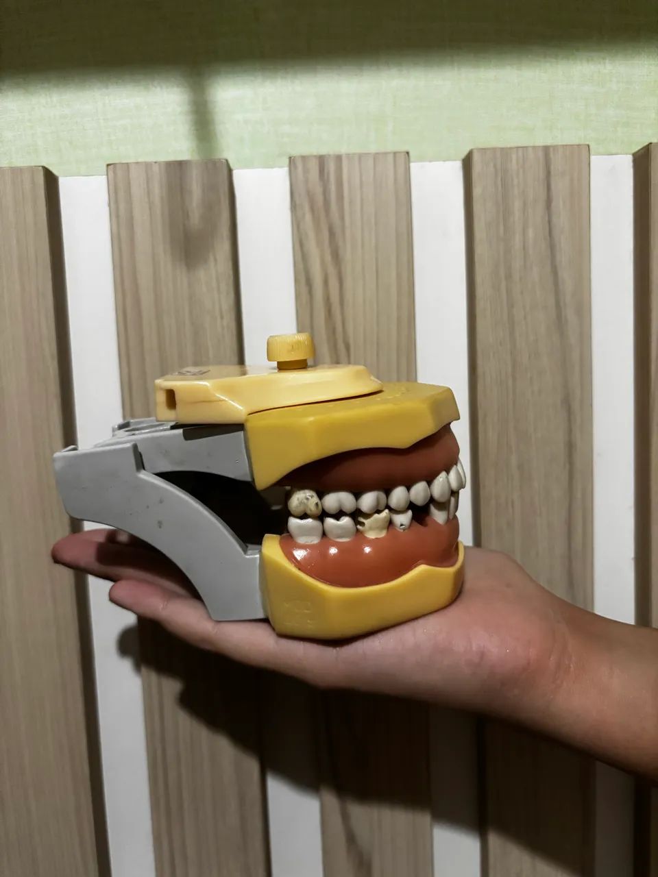 Manequim odontológico dentistica  - Foto 3
