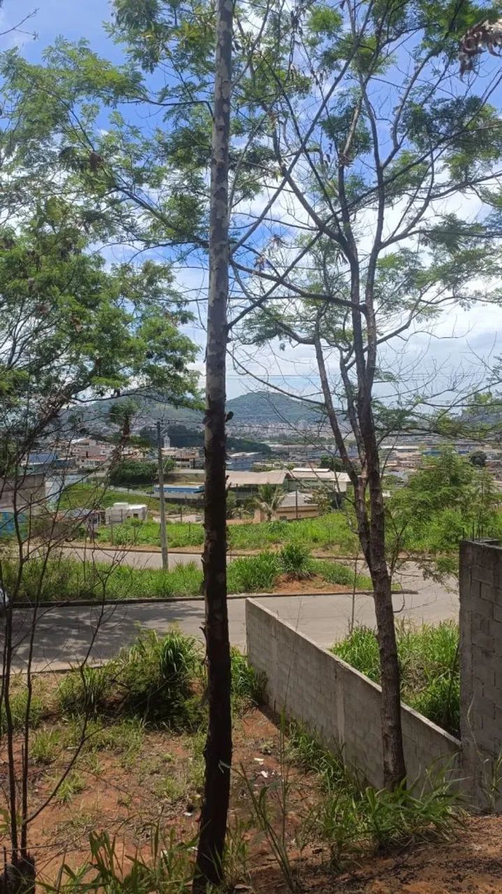 Terreno a venda em jardim América  - Foto 6