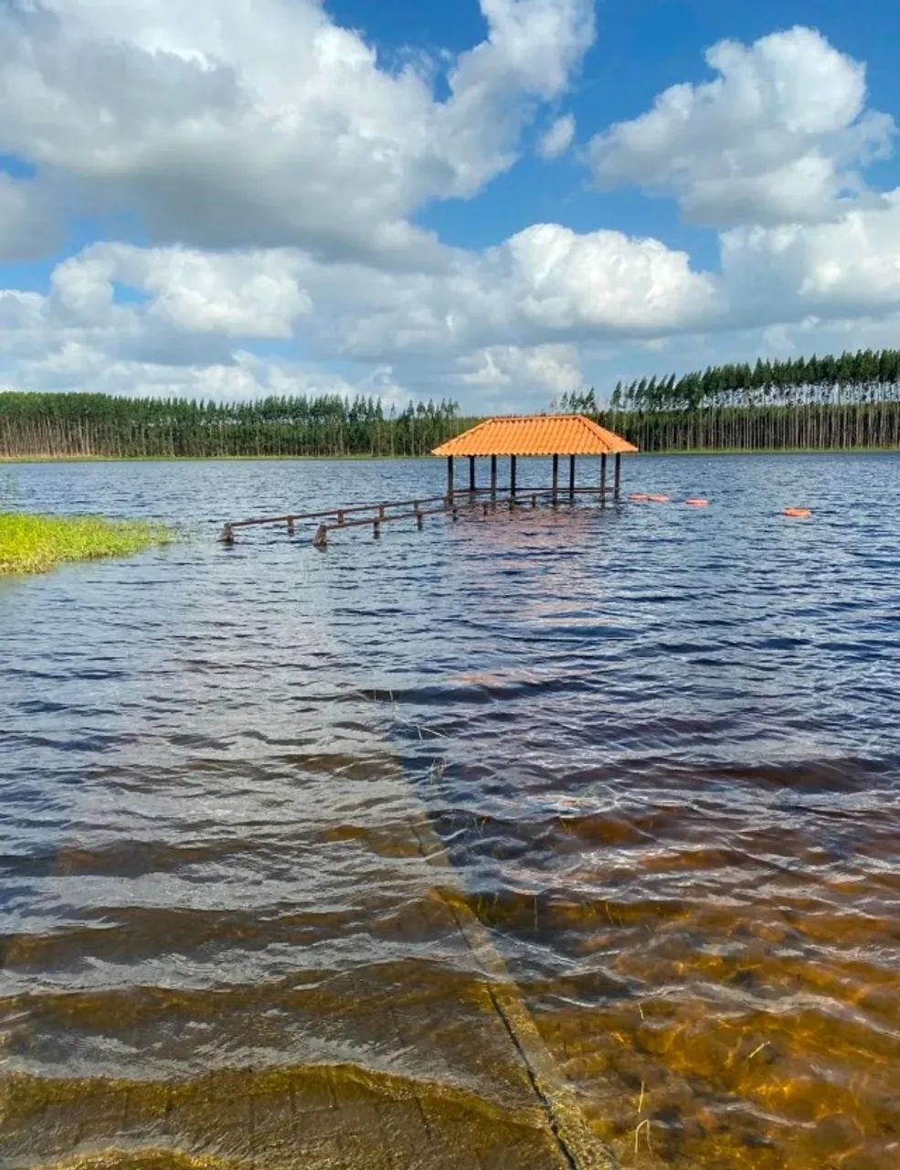 Lote Fazenda Real 1 - Foto 2