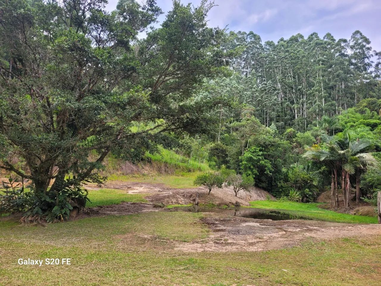 Terreno em São Bonifácio  - Foto 3