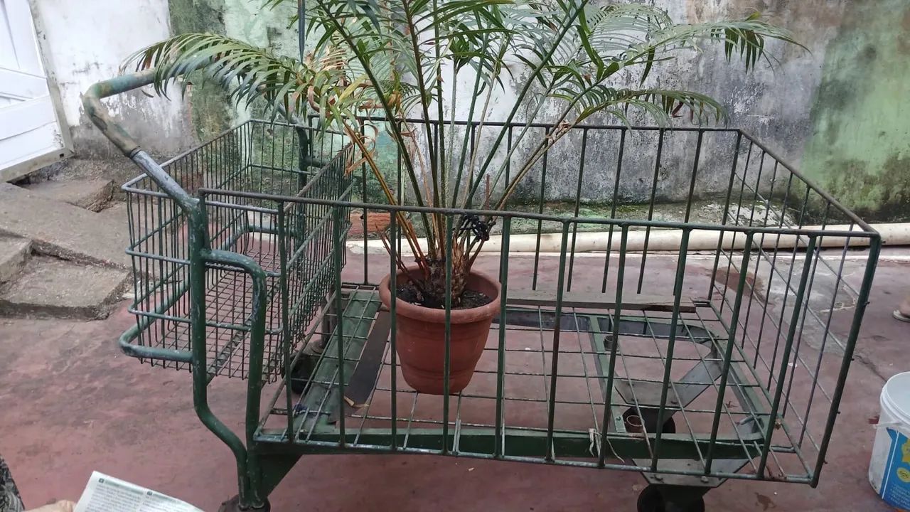 Carrinho de prestanista  - Foto 2