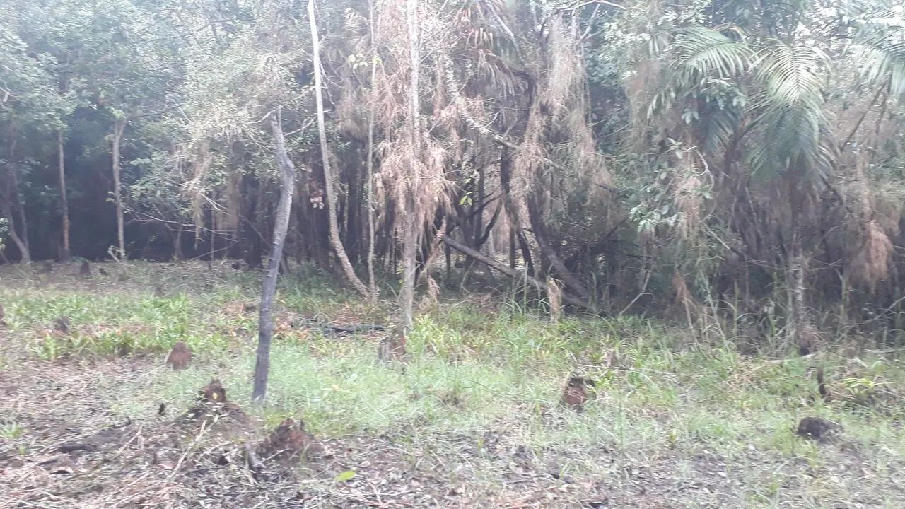 TERRENO EM ALTER DO CHAO - Foto 5