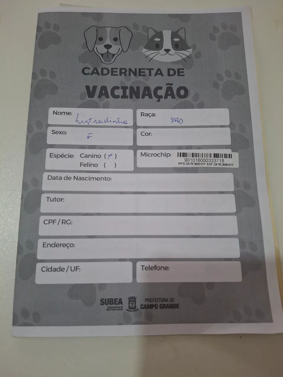 Cachorra castrada (3) - Foto 2