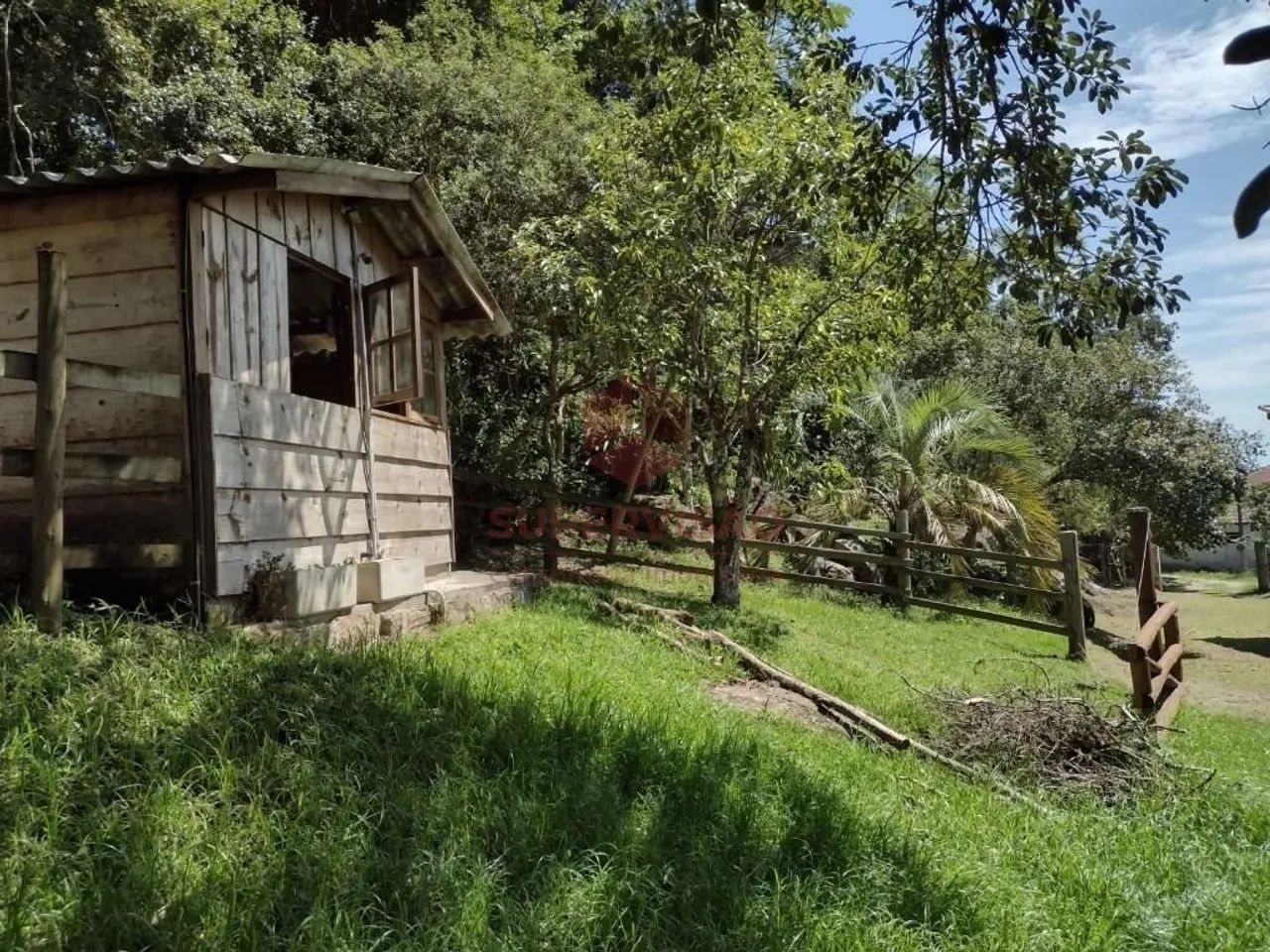 Terreno à venda, 49.872 m² - Jurerê - Florianópolis/SC - Foto 4