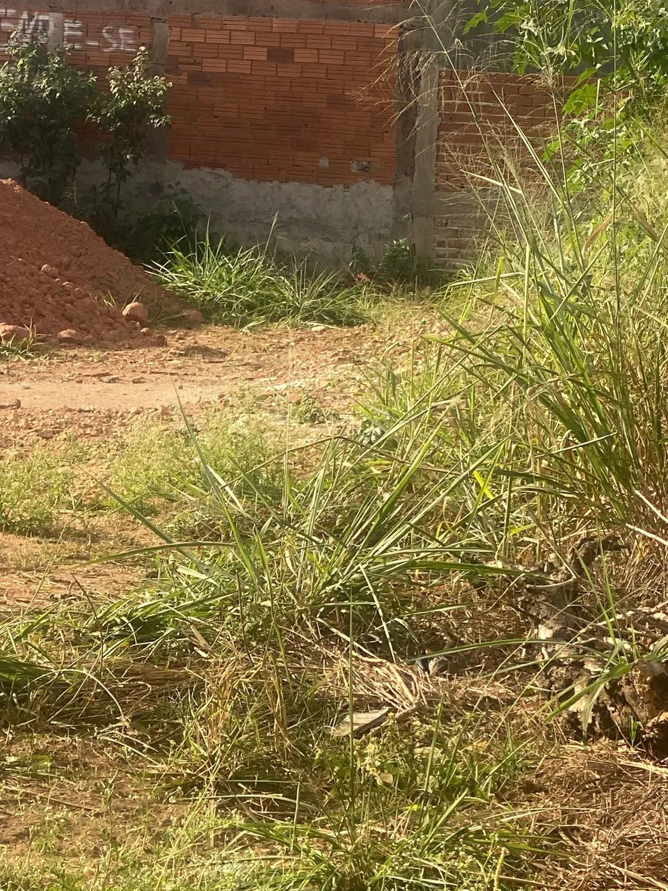 Vendo lote no brisa da mata - Foto 4