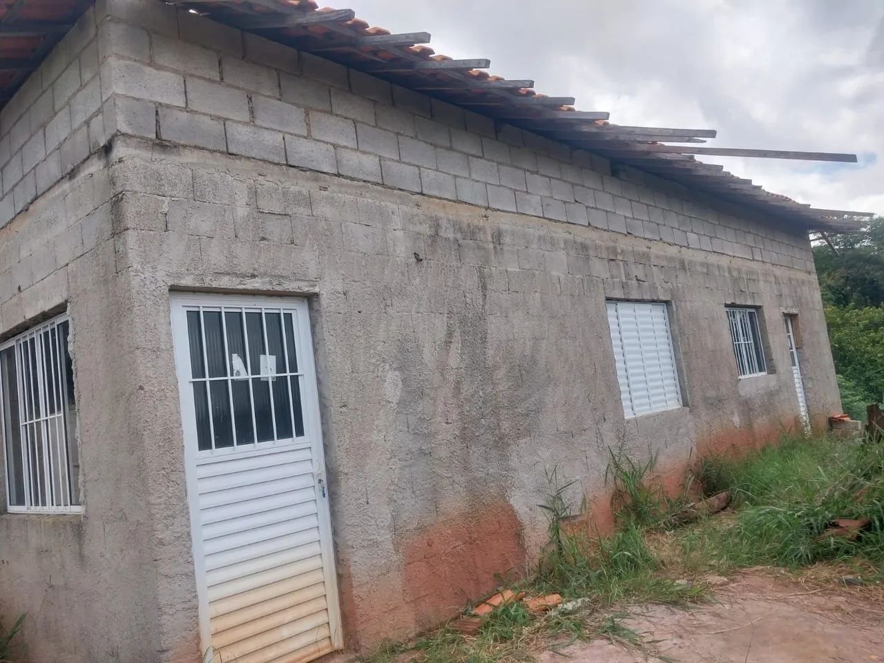 Foto - Jambeiro - 