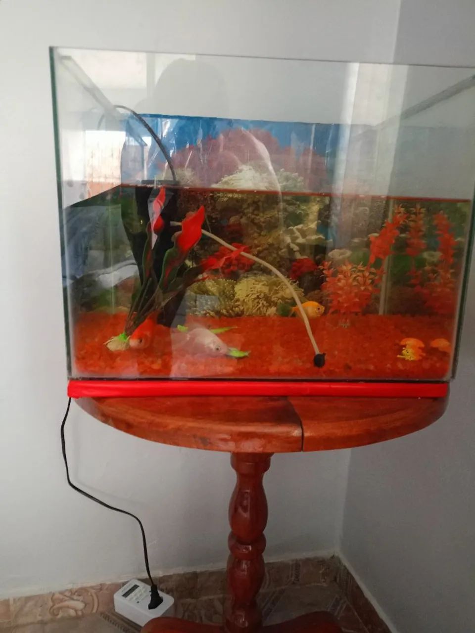 Aquário  - Foto 2