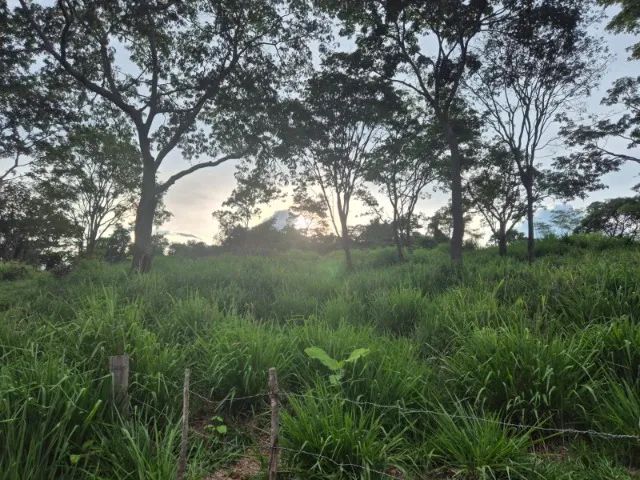 Chácara encantadora em Anápolis - Foto 5