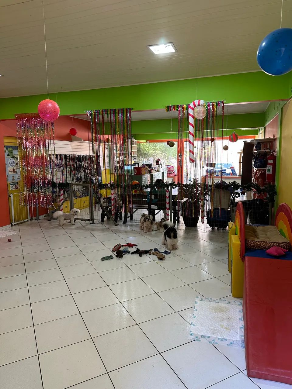 PASSO PETSHOP E CONSULTÓRIO VETERINÁRIO COMPLETO  - Foto 2