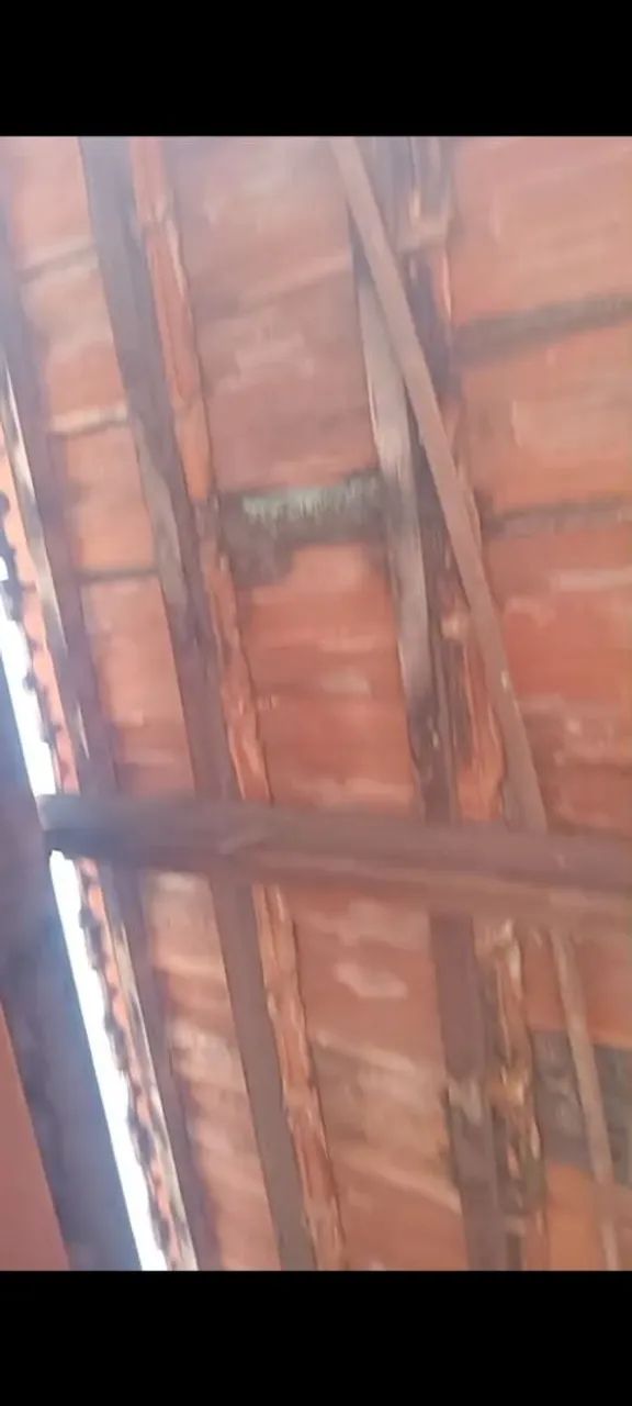 3000 Telhas usadas423932437296599041