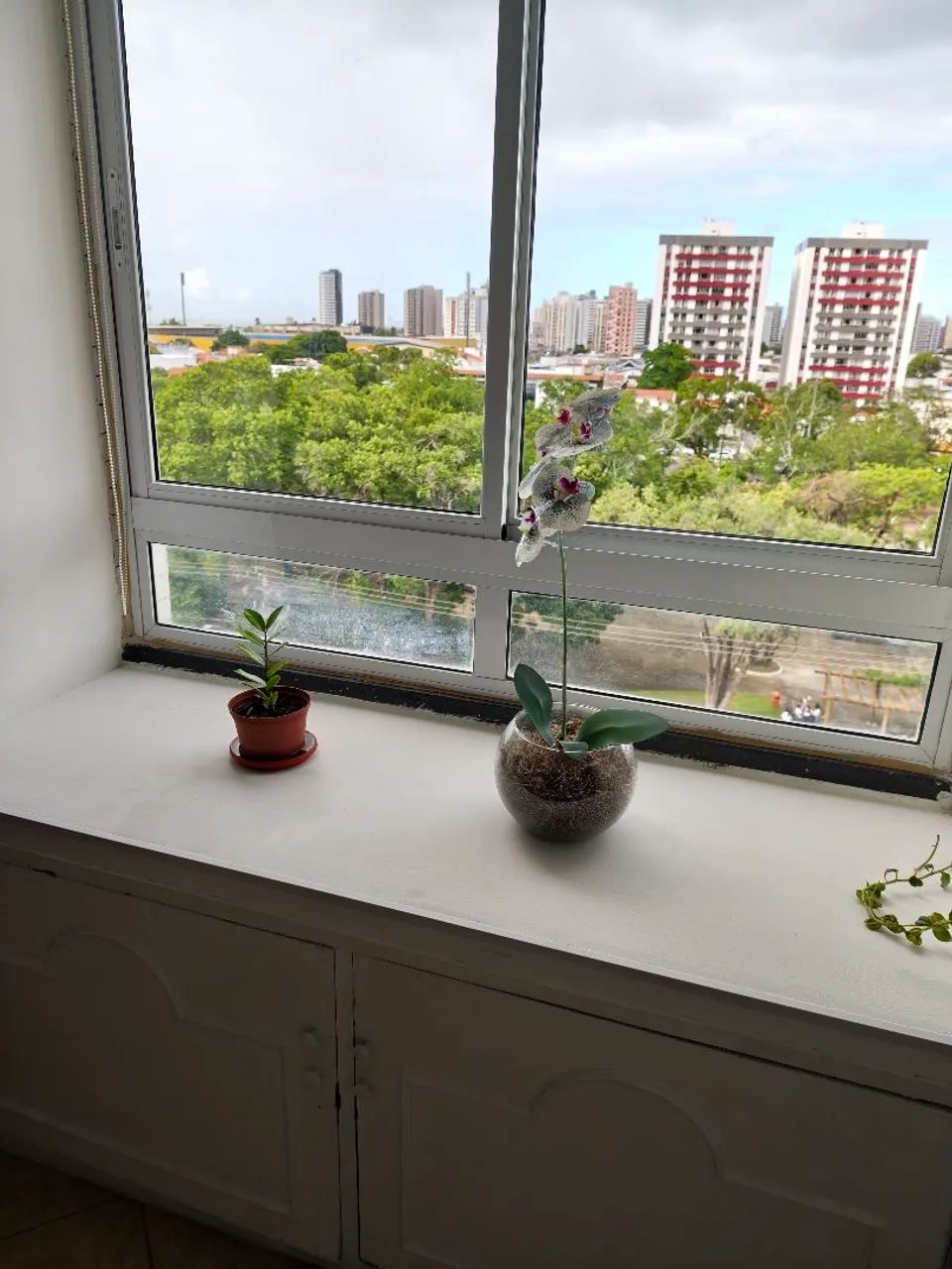 Sala ou Consultorio