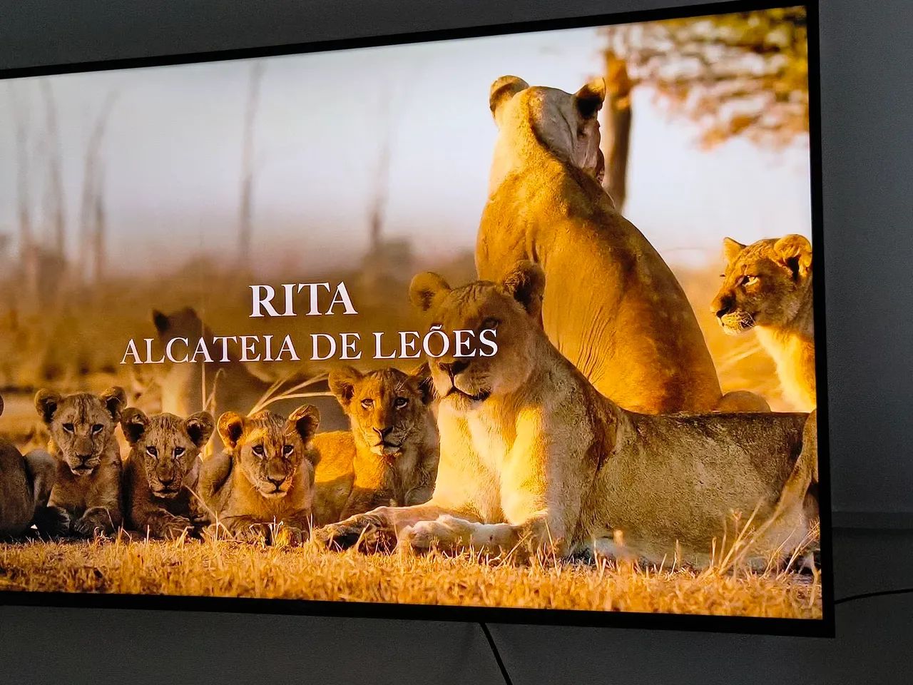 TV LG 55 POLEGADAS NOVA R$ 2.000,00