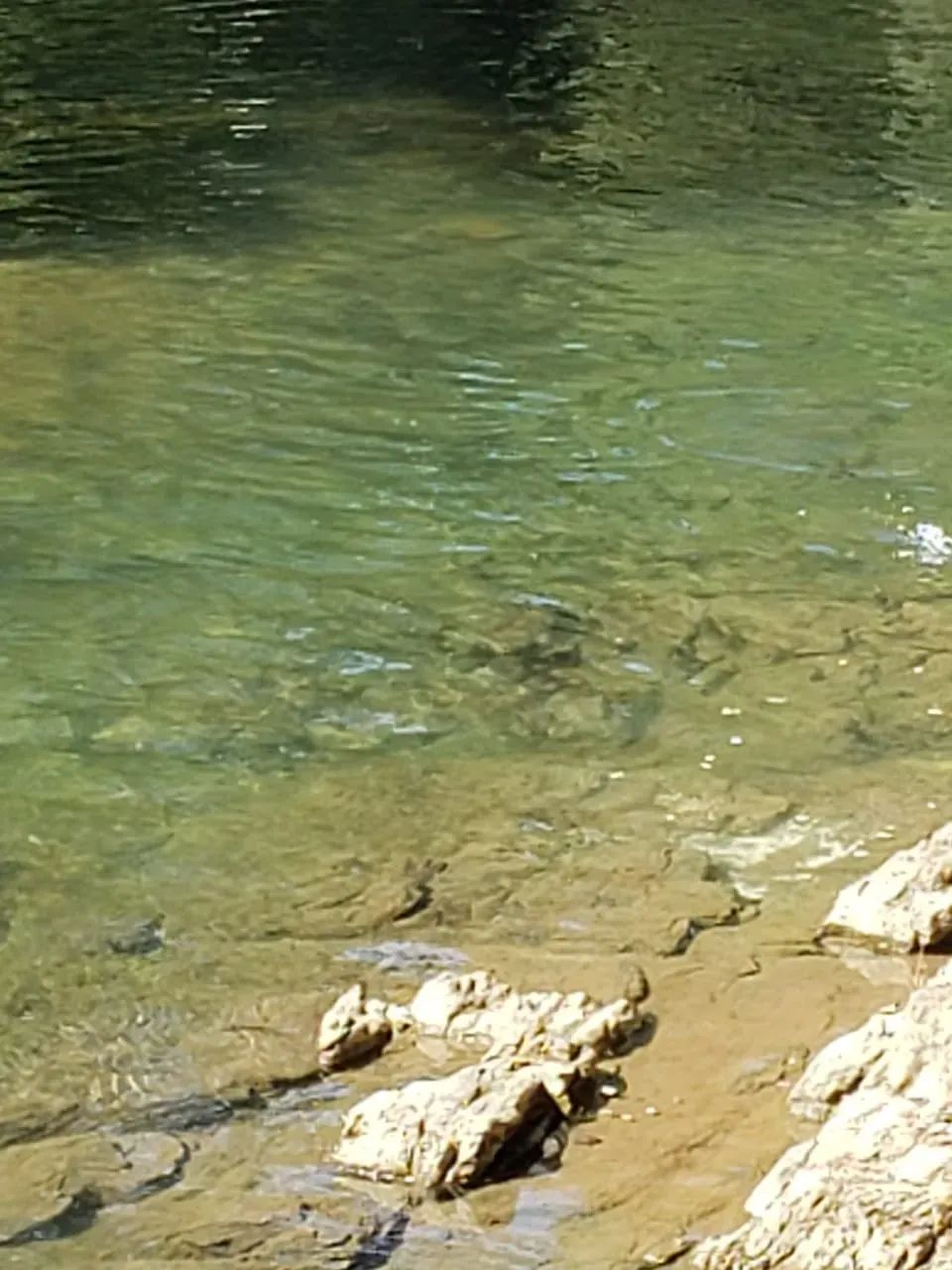 Chácara em Bonito com 4ha com 100m de rio Mimoso - Foto 4