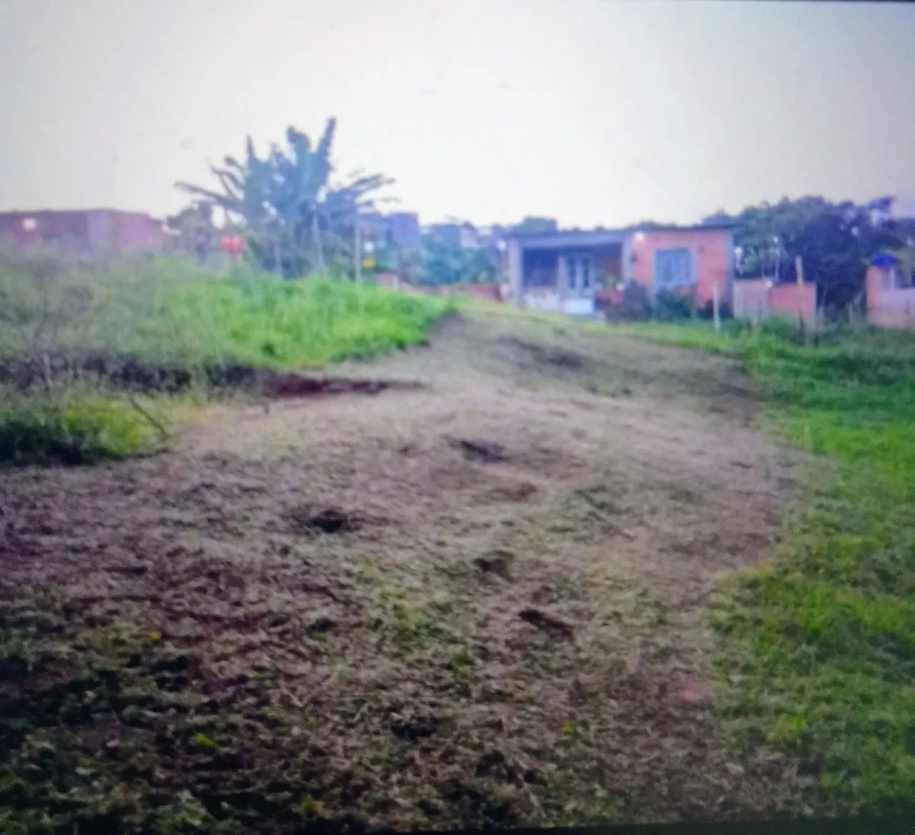 Terreno barato em Paripe  - Foto 3