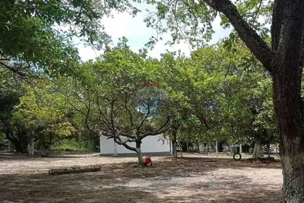 Vende chácara em Goiana - Foto 4