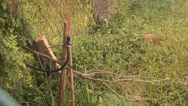 Terreno para Venda Enseada do Brito (Ens Brito) Palhoça - Foto 4