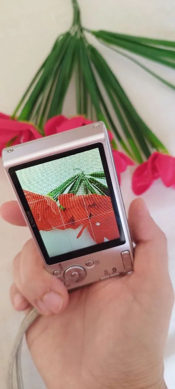 Sony Cyber Shot W320 Original Prata - Câmeras e Filmadoras - Asa