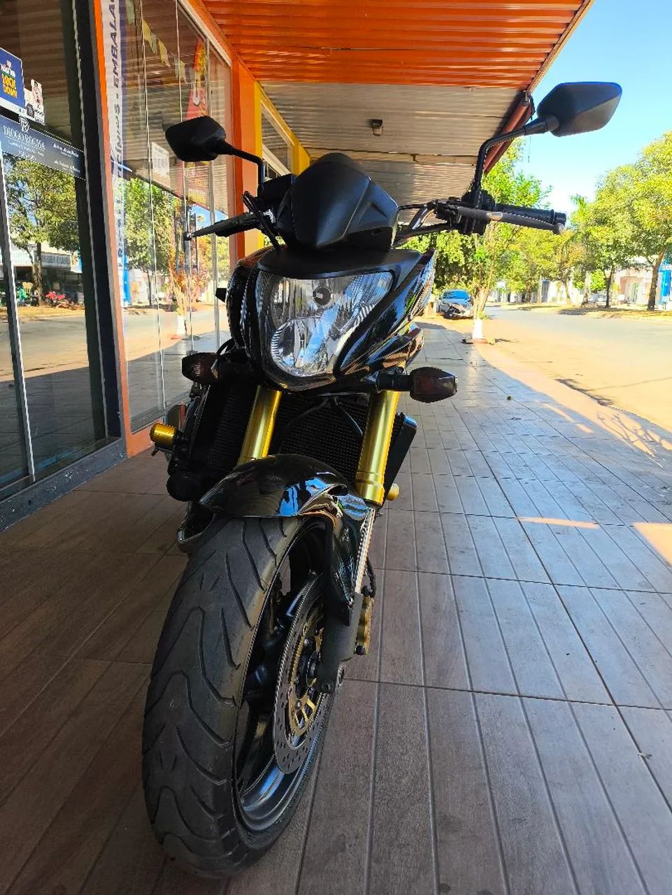 Hornet 600f - Foto 2