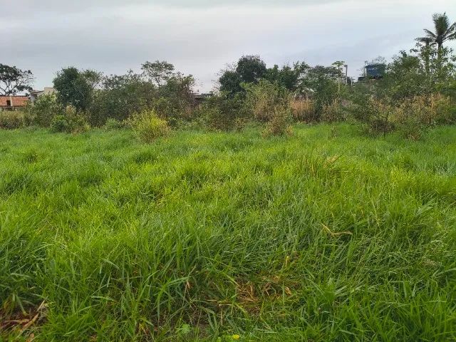 3 terrenos juntos 