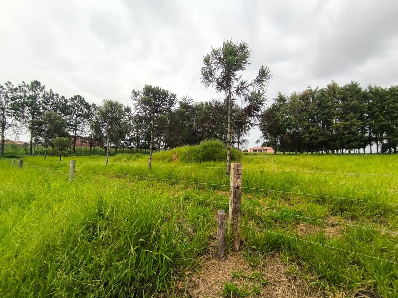 Foto - Votorantim - Parque Bela Vista