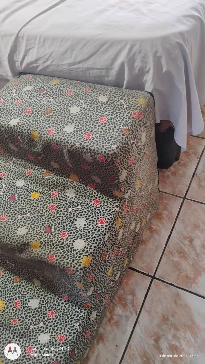Escada para pet  - Foto 3