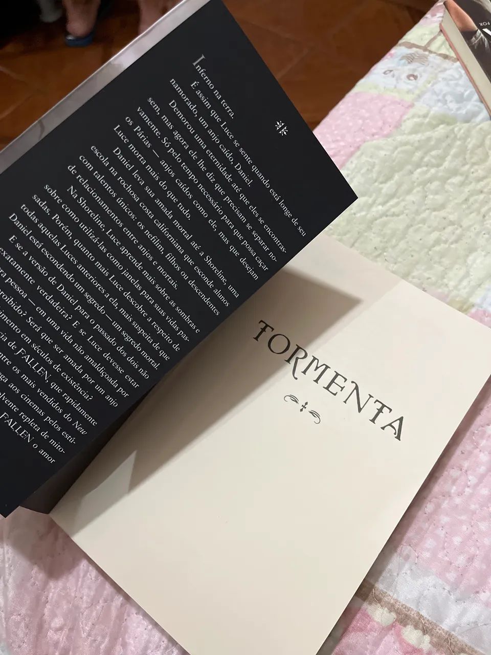 Livro tormenta fallen - Foto 2