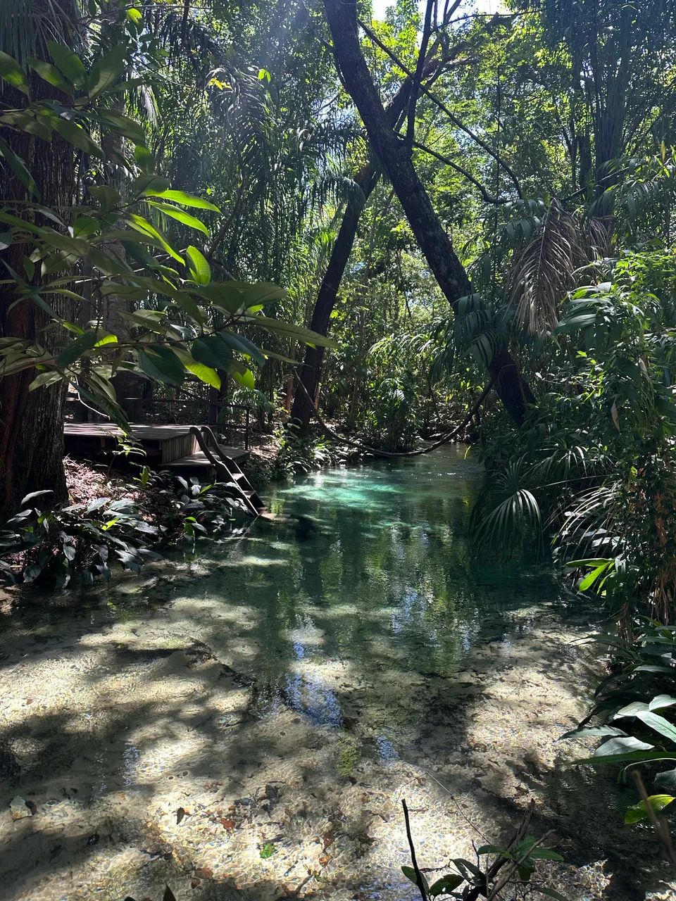 Vendo Cachoeira Paradisíaca no Rio Formiga - Jalapão - Foto 3