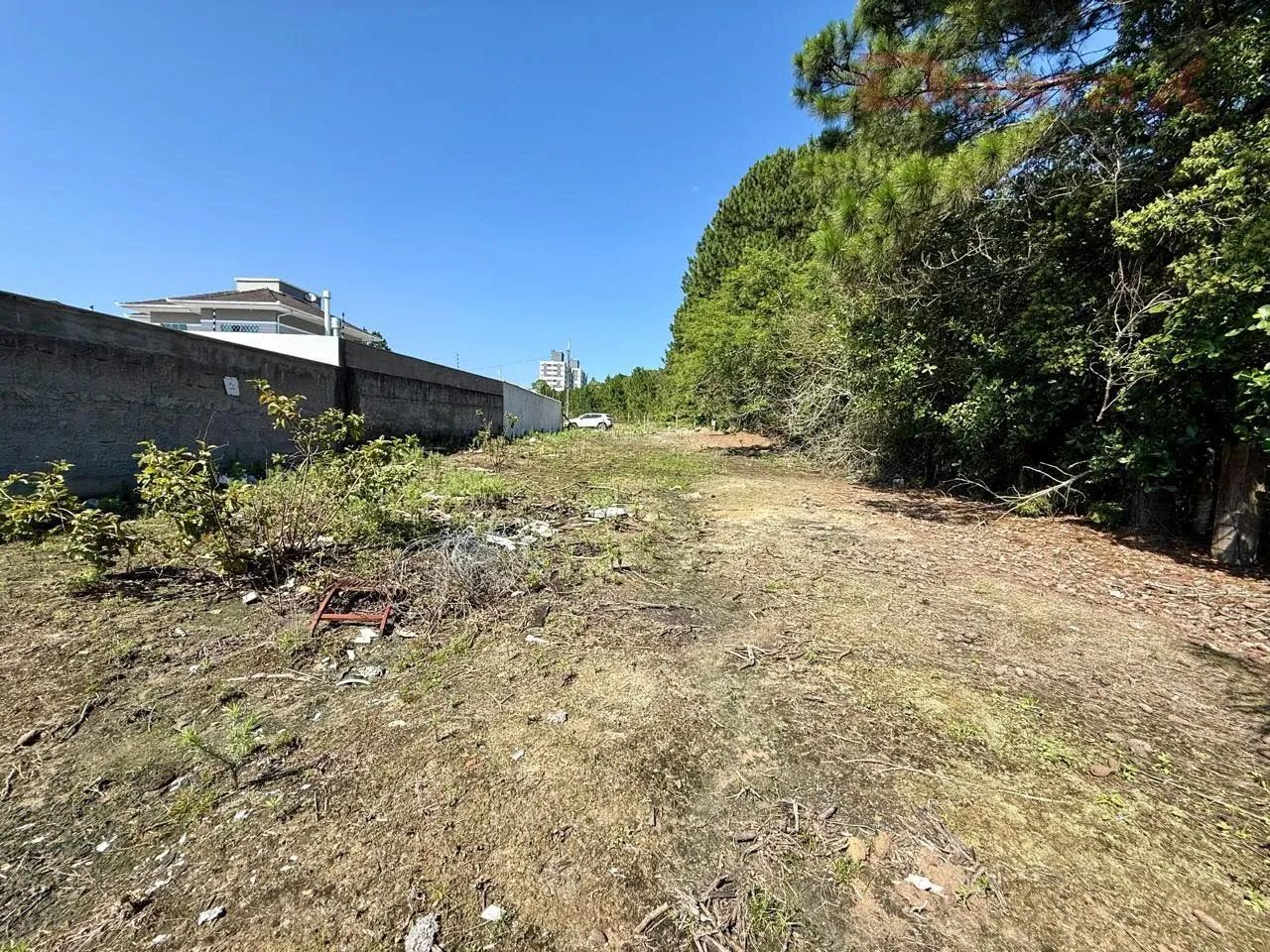 Terreno em Areias - São José - Foto 4