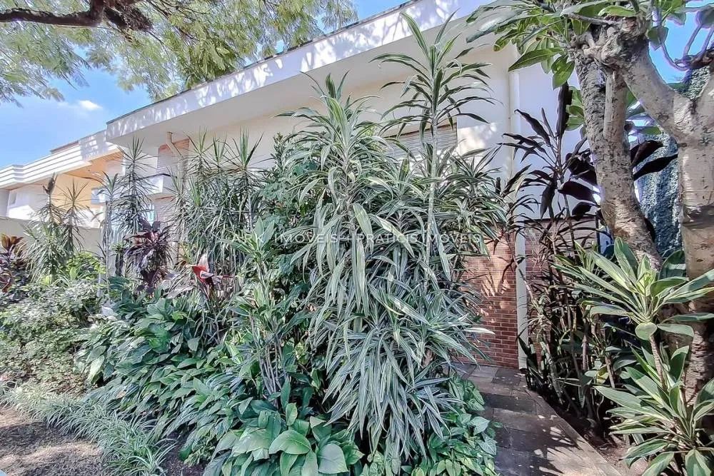 Casa à venda - Vila Monumento - Foto 3
