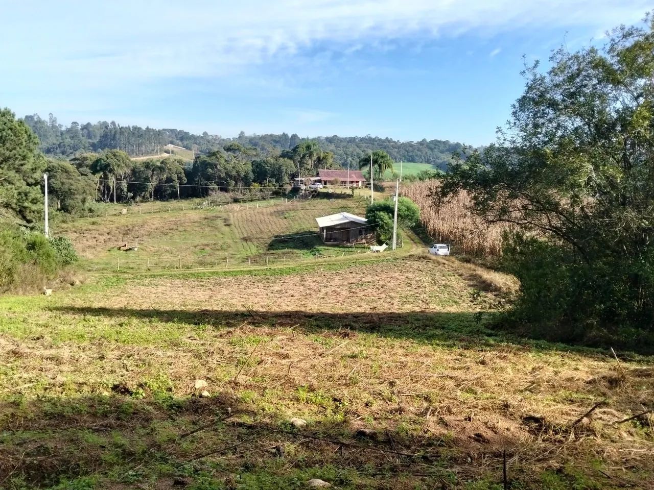 Vendo chácara em Mandirituba  - Foto 3