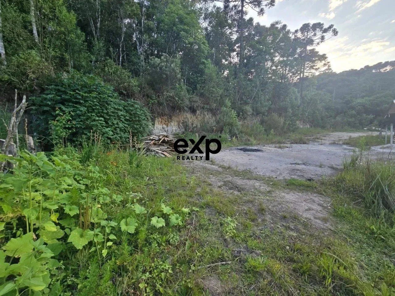 TERRENO AGUDOS DO SUL - Foto 5