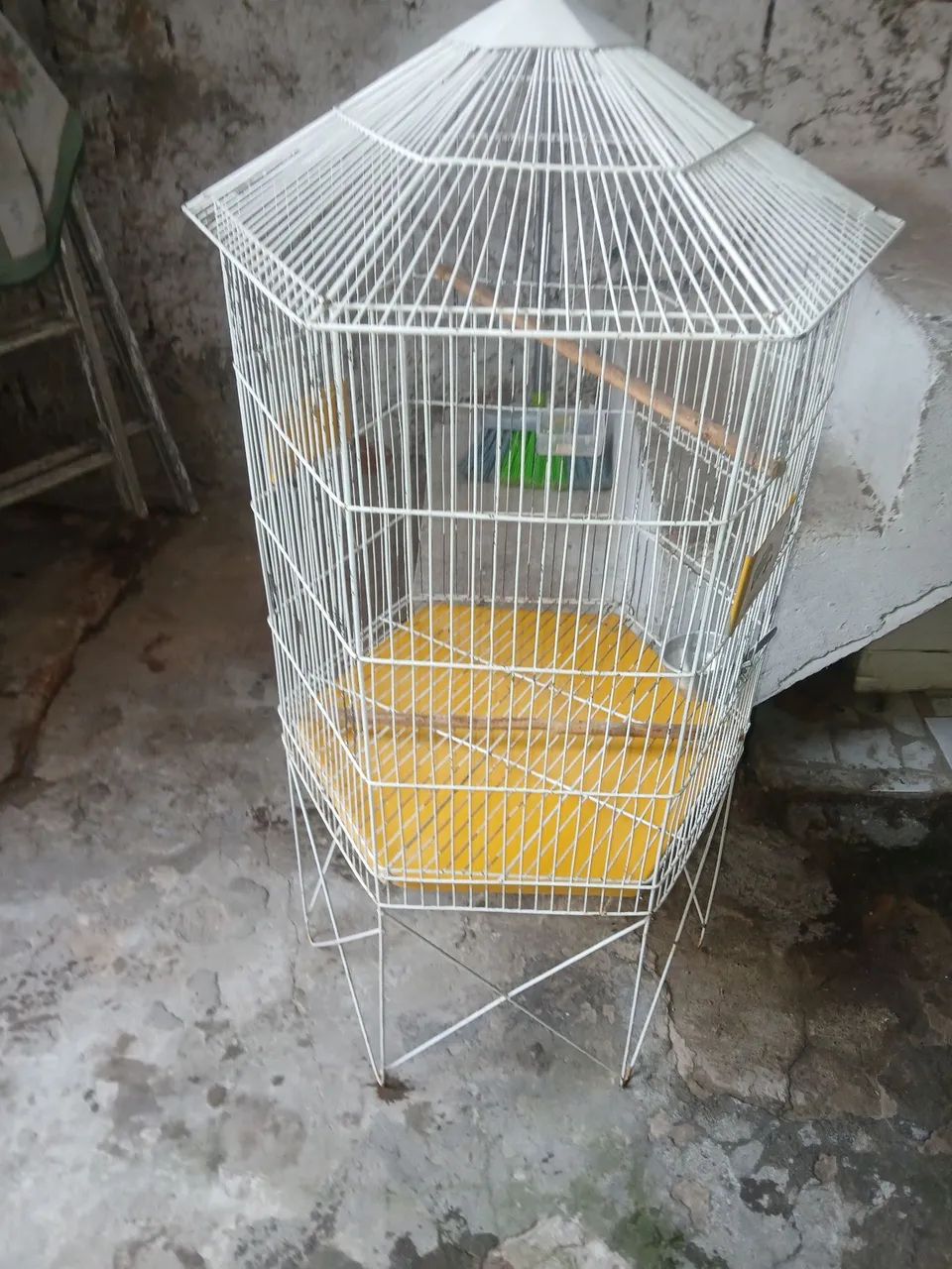 Gaiola - Foto 2
