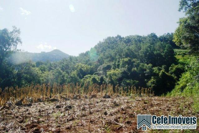 Área de terras com 11.15 hectares em Pinhal Alto - Nova Petrópolis / RS - Foto 9