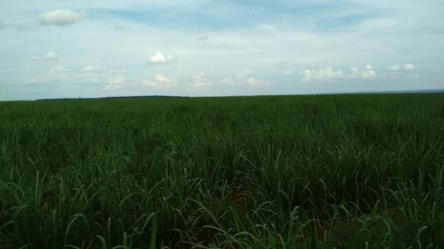 Fazenda à venda, 3242800 m² por R$ 26.000.000 - Jardim Santa Cruz - Campo Mourão/PR - Foto 2