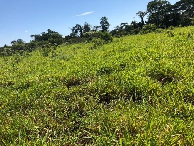 15 alqueires gleba ariranha, aceito permuta imóveis em Tangará - Foto 12