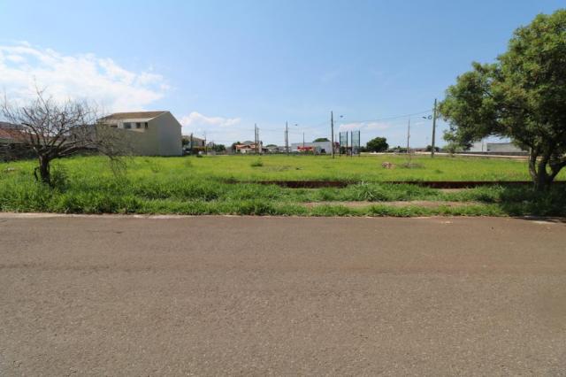 Terreno para alugar em Jardim colina verde, Maringa cod:L51431 - Foto 13