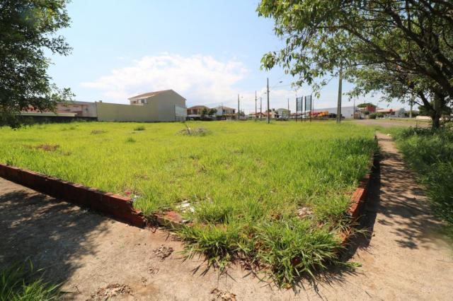 Terreno para alugar em Jardim colina verde, Maringa cod:L51431 - Foto 12