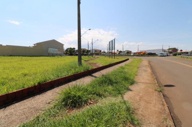 Terreno para alugar em Jardim colina verde, Maringa cod:L51431 - Foto 10