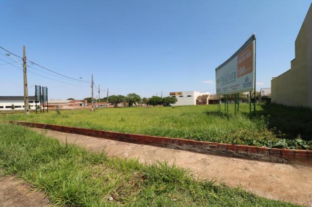Terreno para alugar em Jardim colina verde, Maringa cod:L51431 - Foto 3