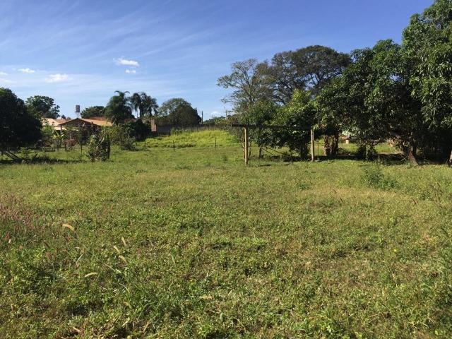 Chácara Setor Eli Forte - Goiânia-Oportunidade - Foto 2