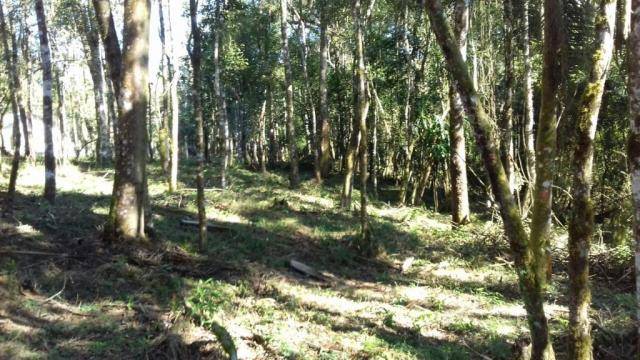 Chácara à venda, 6904 m², com 1 construção, loteamento areia branca dos nogueiras- mandiri - Foto 9